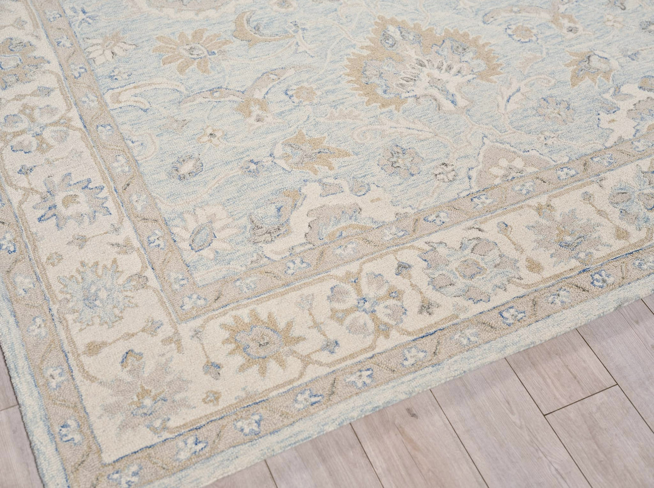 Exquisite Rugs Marietta Oushak 6823 Light Blue/Ivory Area Rug ...