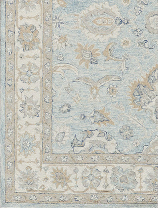 Exquisite Rugs Marietta Oushak 6823 Light Blue/Ivory Area Rug Closeup Image