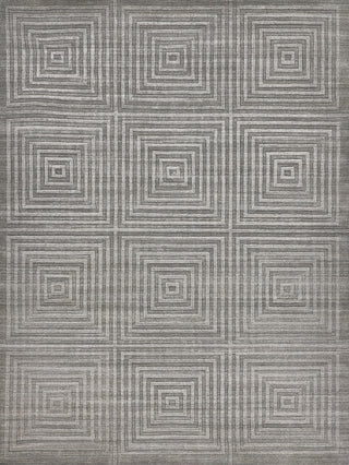 Exquisite Rugs Lotus 6956 Gray/Silver Area Rug by The Met main image