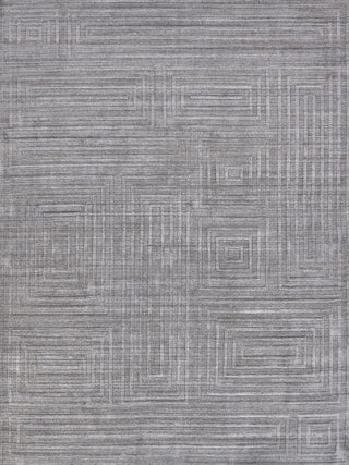 Exquisite Rugs Lotus 6957 Gray/Silver Area Rug main image