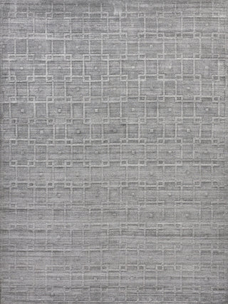 Exquisite Rugs Lotus 6958 Gray/Silver Area Rug by The Met main image