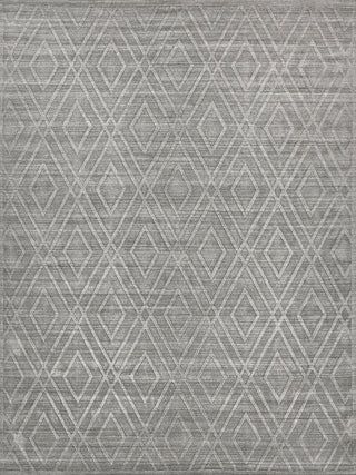 Exquisite Rugs Lotus 6959 Gray/Silver Area Rug by The Met main image
