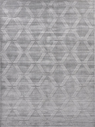 Exquisite Rugs Lotus 6960 Gray/Silver Area Rug by The Met main image