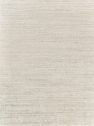 Exquisite Rugs Ambrose 6973 Beige Area Rug by The Met main image