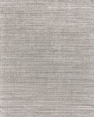 Exquisite Rugs Ambrose 6974 Gray Area Rug by The Met main image