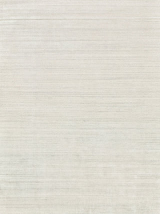 Exquisite Rugs Ambrose 6975 Ivory/Gray Area Rug by The Met main image