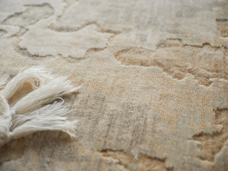 Exquisite Rugs Infinity 7130 Silver/Beige Area Rug 
