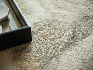 Exquisite Rugs Cortero 7161 Gray/Ivory Area Rug 