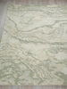 Exquisite Rugs Cortero 7164 Sage/Ivory Area Rug Closeup Image