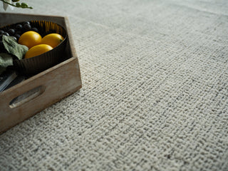 Exquisite Rugs Elements 7169 Gray/Ivory Area Rug 