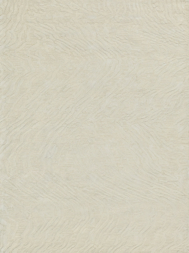 Exquisite Rugs Entro 7179 Cream/Ivory Area Rug main image