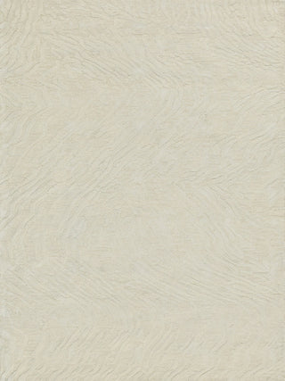 Exquisite Rugs Entro 7179 Cream/Ivory Area Rug main image