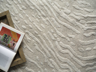 Exquisite Rugs Entro 7181 Silver/Ivory Area Rug 