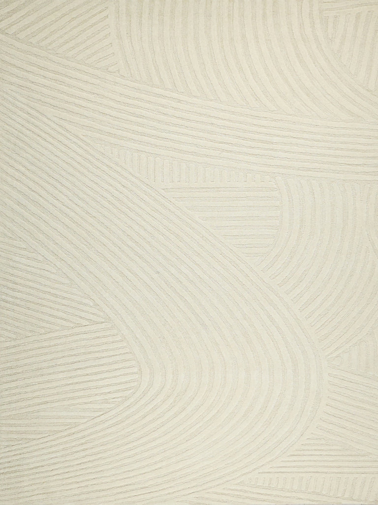 Exquisite Rugs Entro 7182 Cream/Ivory Area Rug main image