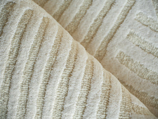 Exquisite Rugs Entro 7182 Cream/Ivory Area Rug Pile Image