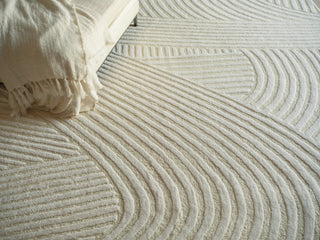 Exquisite Rugs Entro 7182 Cream/Ivory Area Rug Detail Image