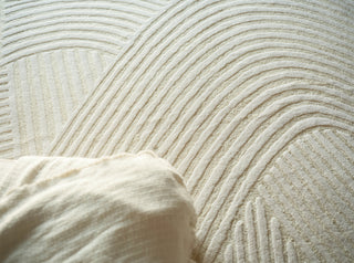 Exquisite Rugs Entro 7182 Cream/Ivory Area Rug 