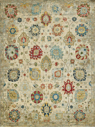 Exquisite Rugs Oxford 7224 Ivory/Gray Area Rug main image