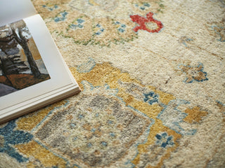 Exquisite Rugs Oxford 7224 Ivory/Gray Area Rug 