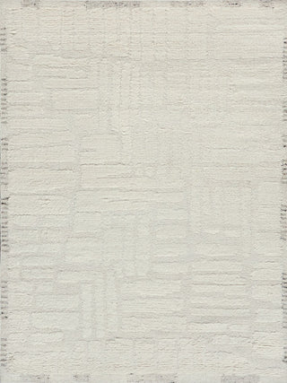Exquisite Rugs Cozi 7241 Ivory/Silver Area Rug main image