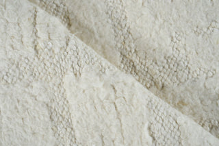 Exquisite Rugs Cozi 7241 Ivory/Silver Area Rug Pile Image