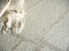 Exquisite Rugs Kokomo 7243 Ivory/Sand Area Rug Detail Image