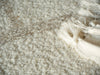 Exquisite Rugs Kokomo 7243 Ivory/Sand Area Rug 
