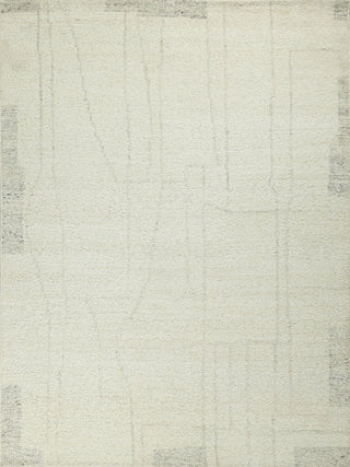 Exquisite Rugs Kokomo 7245 Ivory/Silver Area Rug main image