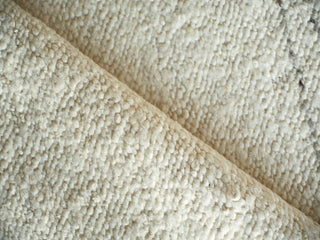 Exquisite Rugs Kokomo 7250 Ivory/Beige Area Rug Pile Image