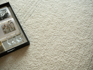 Exquisite Rugs Kokomo 7250 Ivory/Beige Area Rug Detail Image