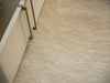 Exquisite Rugs Mitomo 7279 Light Beige/Ivory Area Rug by The Met 