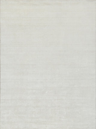 Exquisite Rugs Catalina 7283 Ivory Area Rug main image