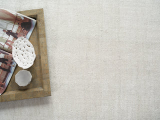 Exquisite Rugs Catalina 7283 Ivory Area Rug Lifestyle Image Feature