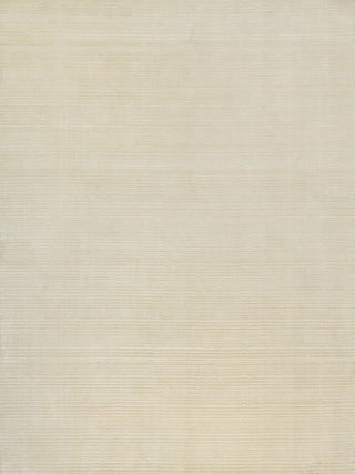 Exquisite Rugs Cavallo Modern 7307 Beige Area Rug main image