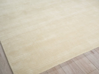 Exquisite Rugs Cavallo Modern 7307 Beige Area Rug Corner Image