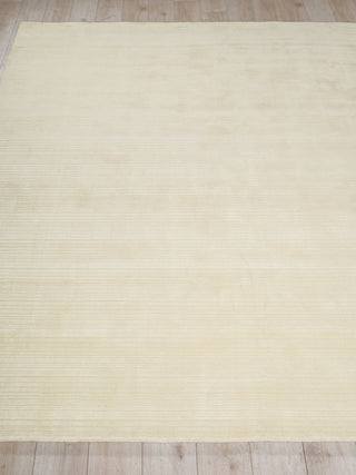 Exquisite Rugs Cavallo Modern 7307 Beige Area Rug Closeup Image
