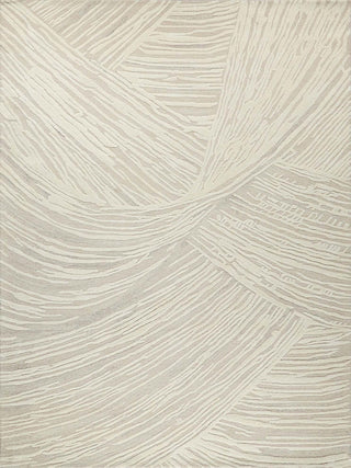 Exquisite Rugs Entro 7320 Beige/Ivory Area Rug main image