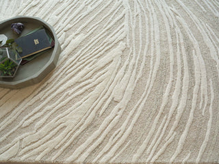 Exquisite Rugs Entro 7320 Beige/Ivory Area Rug Detail Image
