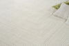 Exquisite Rugs Teton 7323 Beige/Ivory Area Rug Detail Image