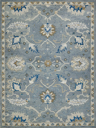 Exquisite Rugs Newport 7328 Gray/Blue Area Rug main image