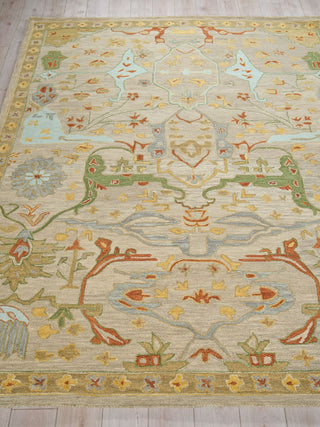 Exquisite Rugs Hamilton 7332 Beige/Multi Area Rug Closeup Image