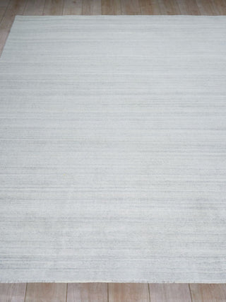 Exquisite Rugs Serenity 7388 Light Grey/Ivory Area Rug Closeup Image