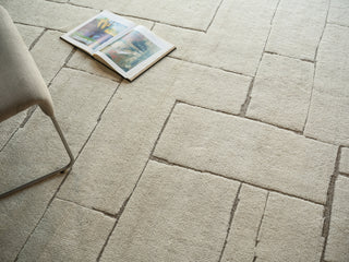 Exquisite Rugs Mojave 7459 Ivory/Beige Area Rug Lifestyle Image Feature