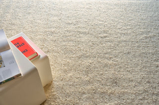 Exquisite Rugs Navarra 7460 Ivory Area Rug Detail Image