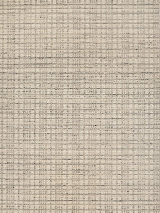 Exquisite Rugs Desi 7463 Light Silver Area Rug main image