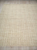 Exquisite Rugs Desi 7464 Light Beige Area Rug Closeup Image