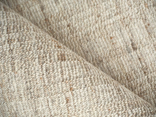 Exquisite Rugs Desi 7464 Light Beige Area Rug Pile Image