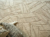 Exquisite Rugs Boma 7465 Beige Area Rug Lifestyle Image Feature