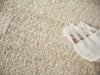 Exquisite Rugs Sunstone 7487 Ivory/Cream Area Rug Lifestyle Image Feature