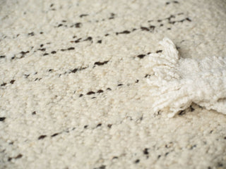 Exquisite Rugs Sunstone 7489 Ivory/Black Area Rug Lifestyle Image Feature